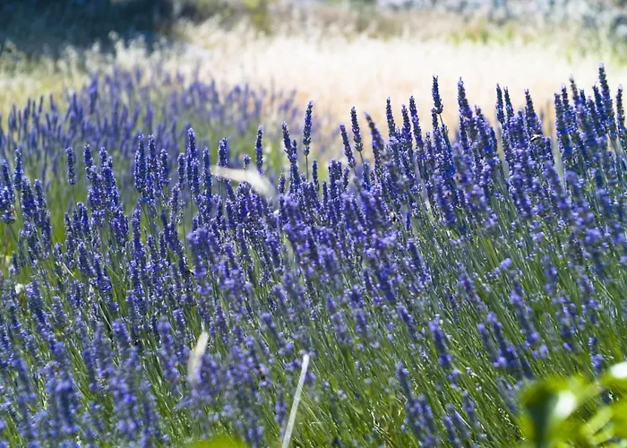 In With Sea View, Terrace, Air Conditioning, W-lan Apartamento