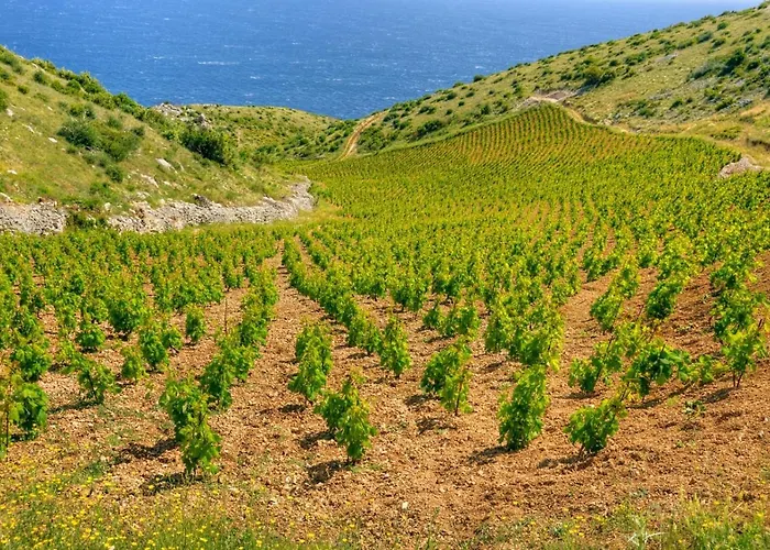 In With Sea View, Terrace, Air Conditioning, W-lan