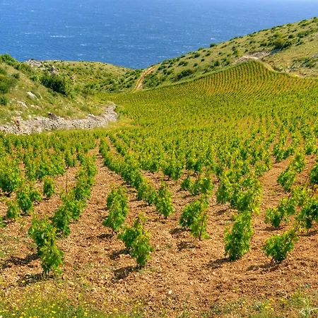 In With Sea View, Terrace, Air Conditioning, W-lan